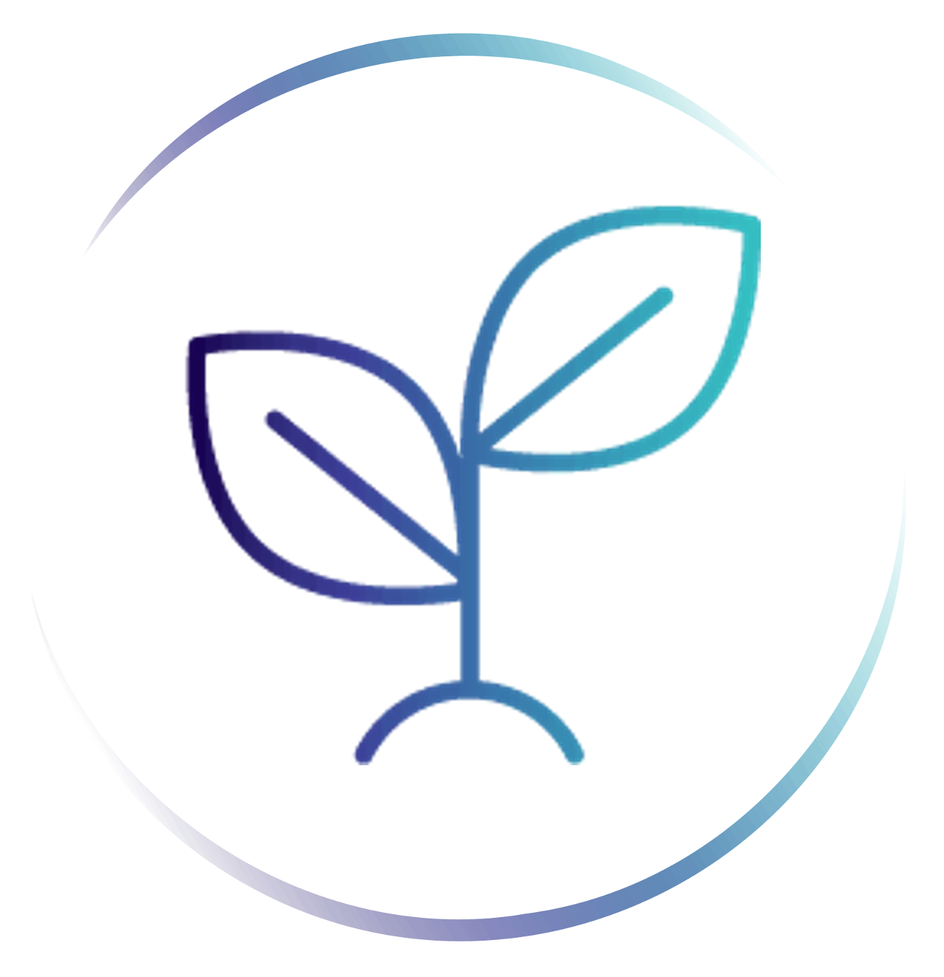 Investment Growth